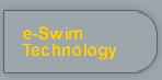 e-Swim Technology – One on One Online Meeting