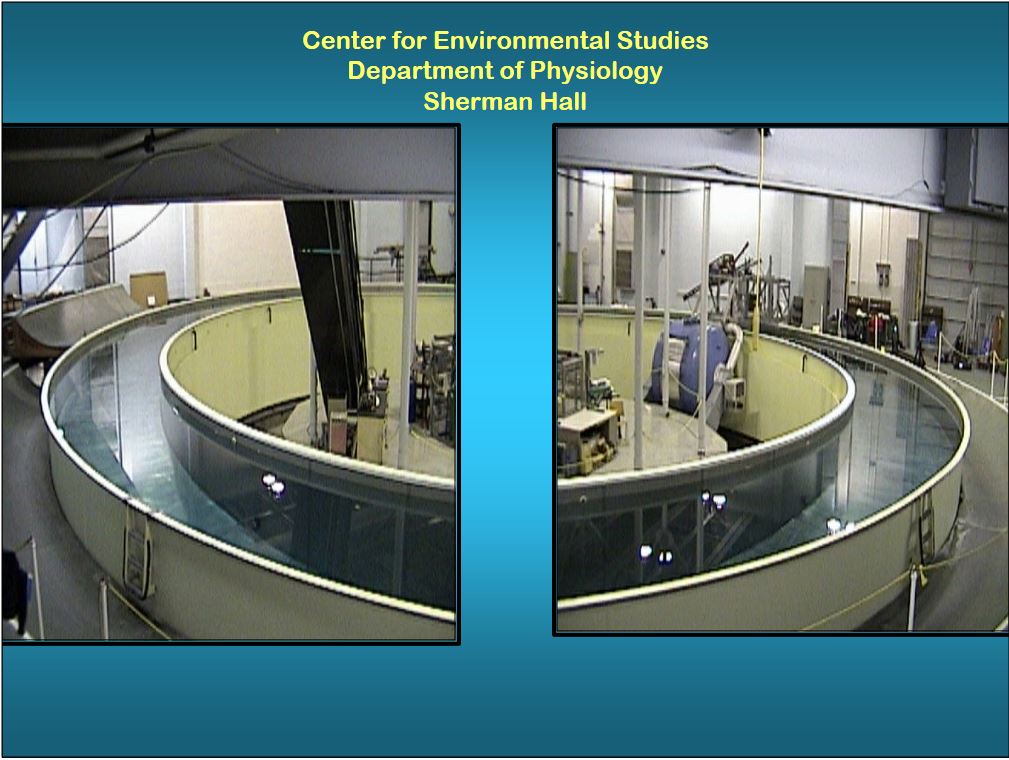 High Performance Testing Center