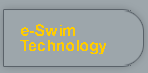 e-Swim Technology  One on One Online Meeting